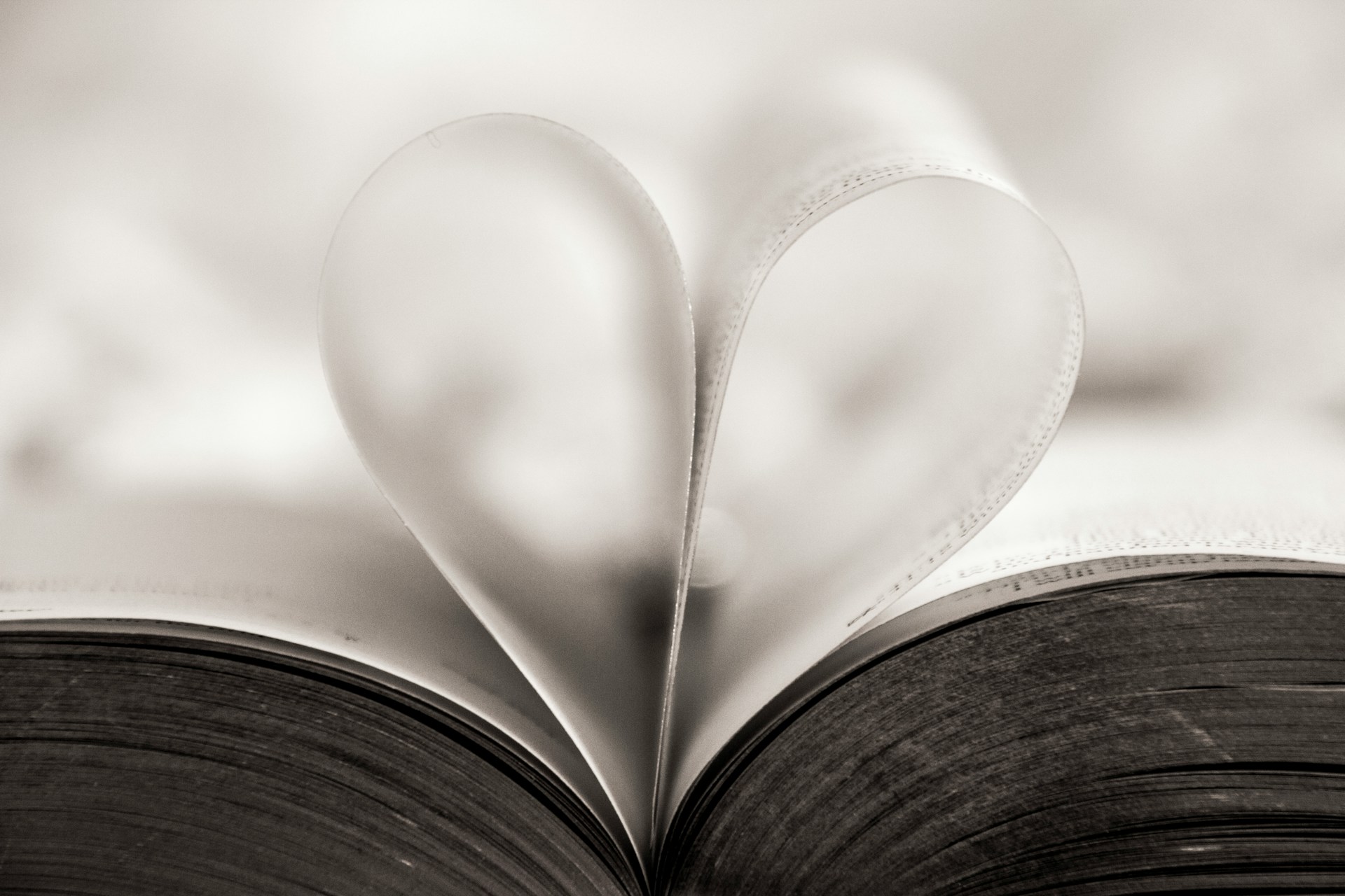 hush-naidoo-jade-photography-2cdzDZ90M90-unsplash